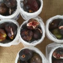 Beautiful, plump figs